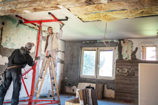 Best DIY Insulation Kits and Guidance in Windsor, NC